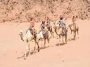 images (55).webp