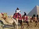 1000051668.webp