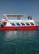 1000049431.webp