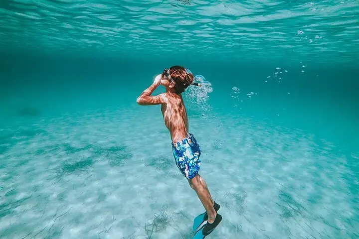 Snorkeling Day Trip to White Island and Ras Mohamed from Sharm 