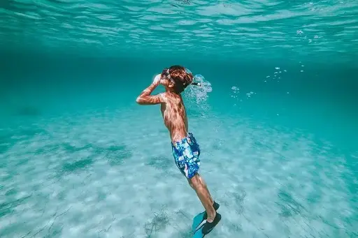 Snorkeling Day Trip to White Island and Ras Mohamed from Sharm 