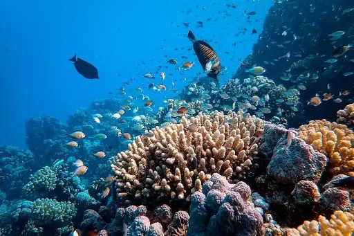 Dahab Blue Hole and Towailat Mountain