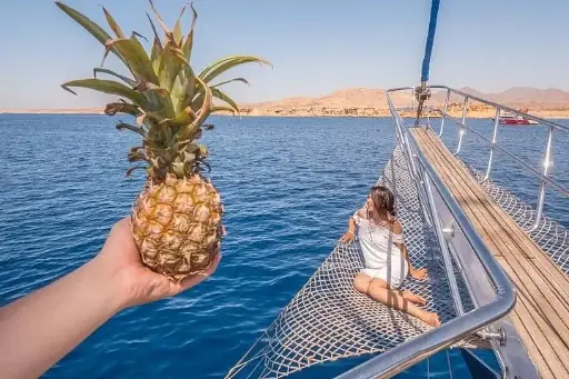 SGita di snorkeling a Ras Mohamed e Isola Bianca a bordo di uno yacht di lusso