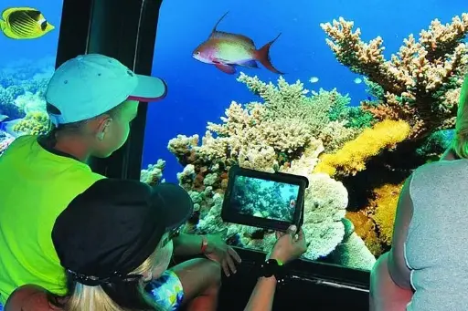 Semi Submarine Trip in Sharm El Sheikh with Transfer 